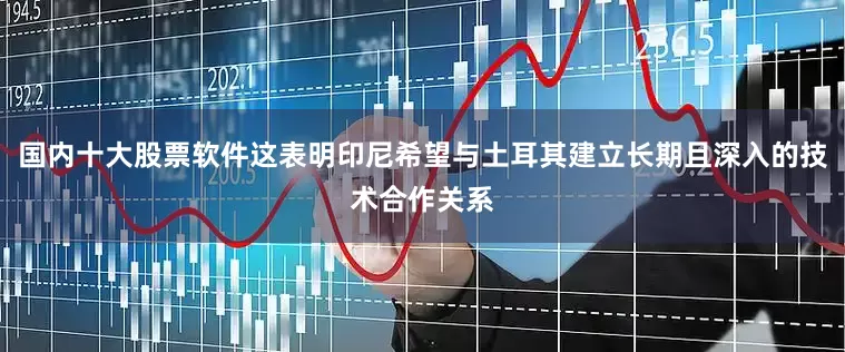 国内十大股票软件这表明印尼希望与土耳其建立长期且深入的技术合作关系