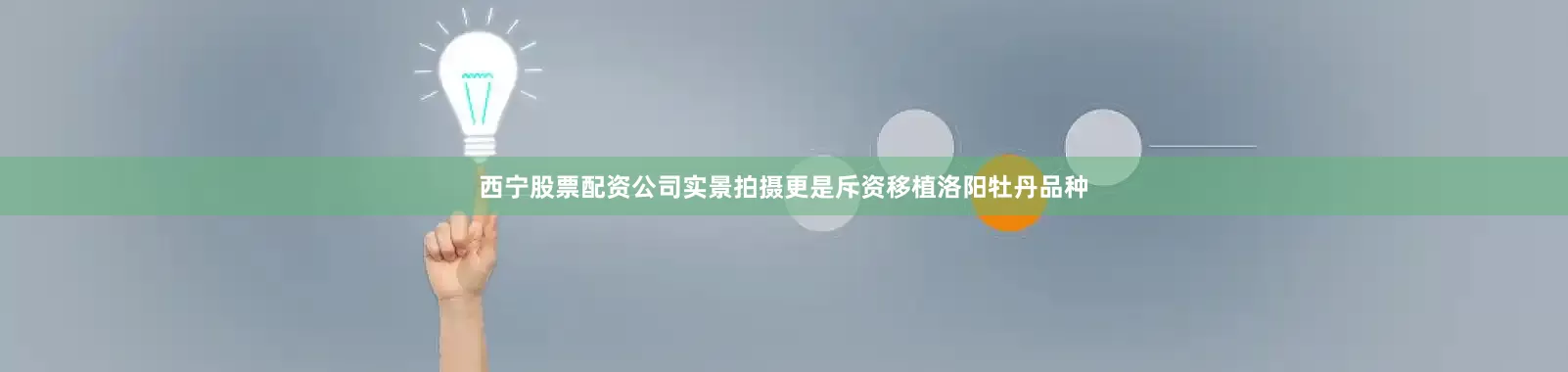 西宁股票配资公司实景拍摄更是斥资移植洛阳牡丹品种