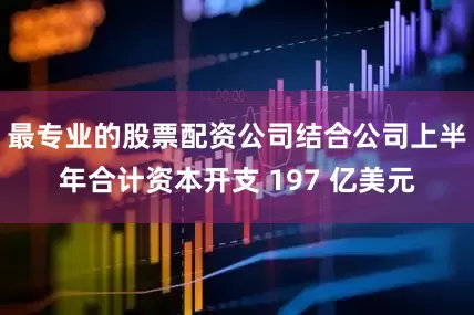 最专业的股票配资公司结合公司上半年合计资本开支 197 亿美元