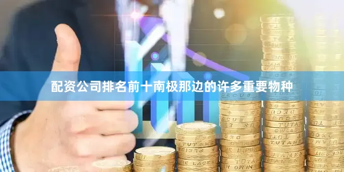 配资公司排名前十南极那边的许多重要物种